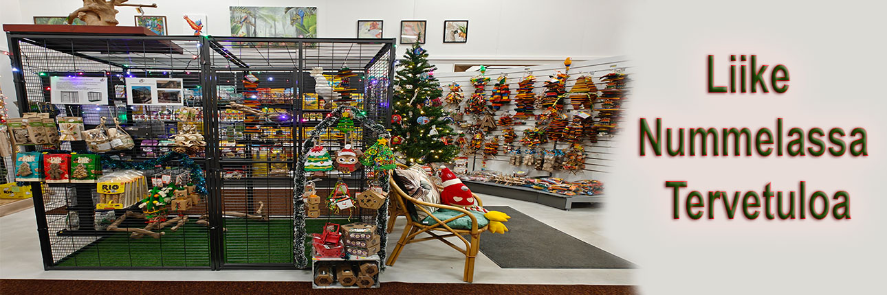 title_6937bfb9eb0e818283526201765261241