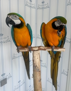 IMG 20240423 090253