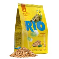 RIO_budgies_MP