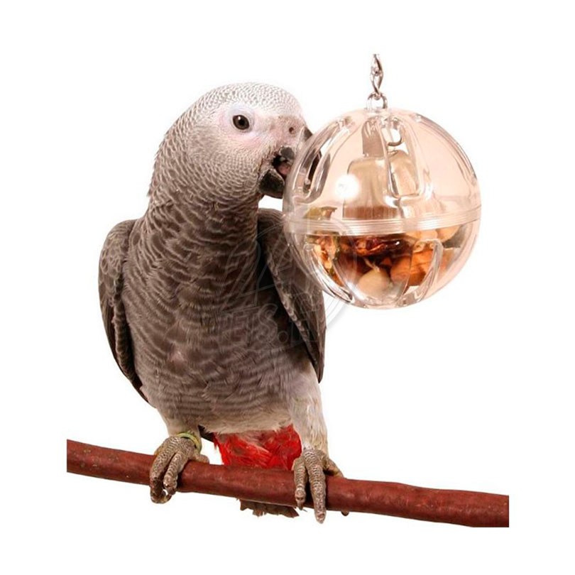 bell
